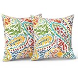 LVTXIII Outdoor/Indoor Throw Pillows, Decorative Patio Accent Pillows, Fluffy Water Repellent Garden Cushions for Home Patio Coach Sofa Use, 18×18 Inch, Pack of 2, Paisley Multi