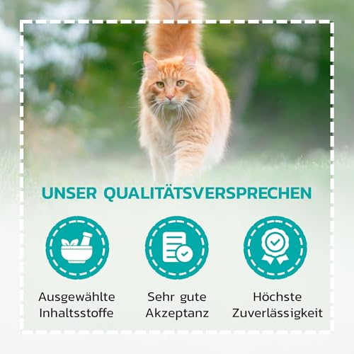 Liquidocare Immun 180 ml – Ergänzungsfuttermittel für Hunde & Katzen – Flüssiges Tonikum zur Stärkung des Immunsystems – mit Sonnenhut & Taigawurzel, frei von Konservierungsstoffen