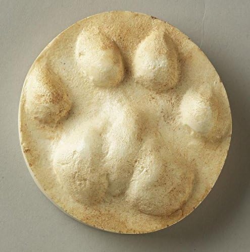 Mountain Lion Track Replica