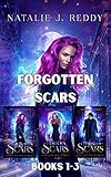 Cover zum Buch Scars of Days Forgotten Series, Hidde...