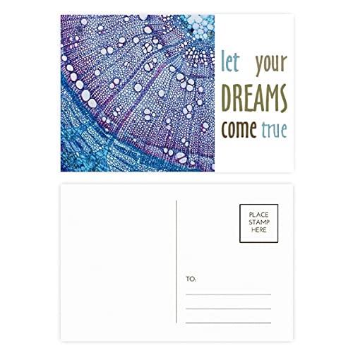 Cartes postales de remerciement cellule bleue en lot de 20 pièces pour correspondance