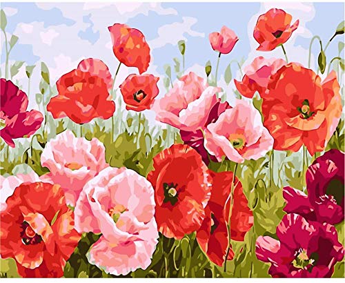 YEESAM ART Peinture Numero coquelicots, Bricolage Peinture par Numero 40x50 cm Acrylique Decoration Murale