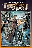 Jim Butcher's Dresden Files: Wild Card