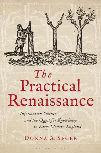 The Practical Renaissance view 2
