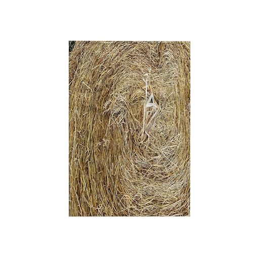 3dRose - Lens Art by Florene - Florida Fair - Image of Closeup of Natural Hay at Florida Fairgrounds - Towels (twl-309468-1)