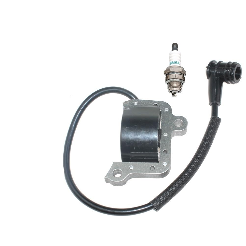Module d'allumage pour atomiseur Mist Duster 423 et 423S OEM 2300677
