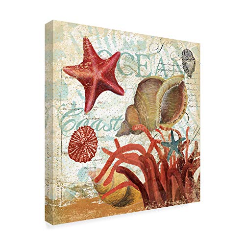 Trademark Fine Art ALI38330-C1414GG Shell Collector Ocean Licensing Studio Fine Art, 14" x 14", Multicolor