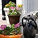 Bloem 20-56308CH Ariana Self Watering Planter, Chocolate, 8