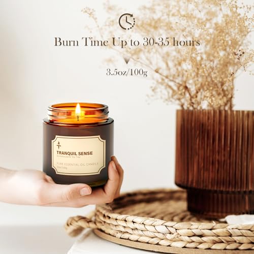TRINIDa Scented Candles for Living Room, 2 Pack 3.5oz Soy Wax Candles for Home Scented, Deep Cleanse & Tranquil Sense Aromatherapy Candle Gift Set, Relaxation Gifts for Women - Image 4