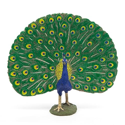 Papo, Realistic Peacock Figure Toy for Kids, Ages 3+, Farm Life Collection, Educational Play Animal Observation - Image 3