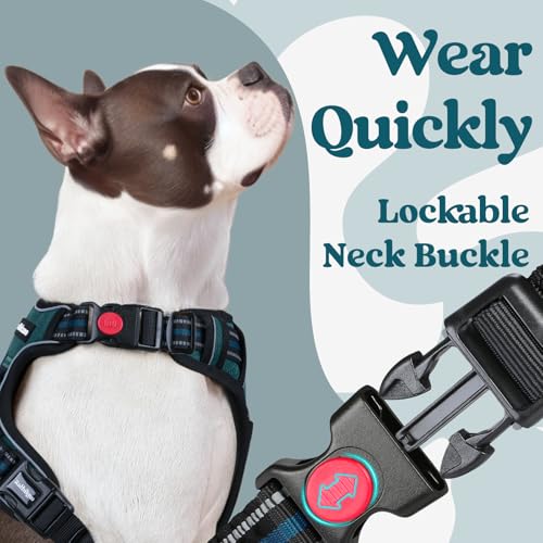 rabbitgoo Dog Harness Large Dog No Pull Pet Harness with 2 Leash Clips, Adjustable Soft Padded Pet Vest Harness, Reflective No-Choke with Easy Control Handle for Training or Walking, Dark Green, M - Image 3