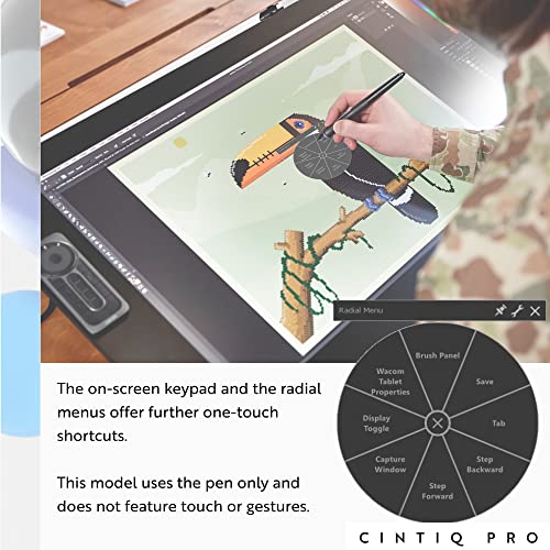 Image of Wacom DTK2420K0 Cintiq Pro 24 Creative Pen Display - 4K Graphic Drawing Monitor with 8192 Pen Pressure and 99% Adobe RGB, Black | 23.6 4K Ips Display, 8192 Pressure Levels, 99% Adobe Rgb, Expresskey Remote, USB-C and HDMI and Dp