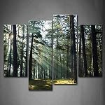 Sunshine Through Forest Wall Art Peinture Images Imprimer sur toile Paysage L'image pour la décoration moderne maison
