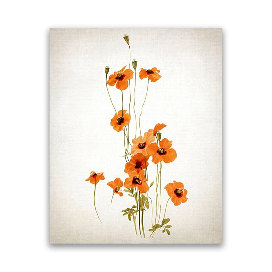 Amazon.co.jp: オレンジポピー花ポスター風ポピーヴィンテージ
