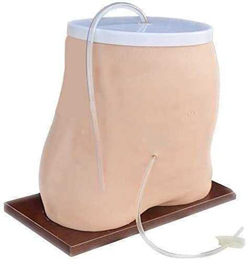 Modèle D'Enseignement, Modèle De Dialyse Péritonéale Humaine, Modèle D'Enseignement Médical, Modèle D'Anatomie De Formation Sur Simulateur De Dialyse Péritonéale, Fourniture Abdominale De Mannequin P