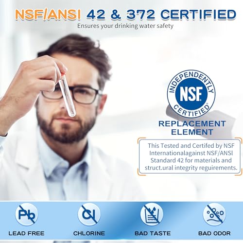 EDR2RXD1 W10413645A filter 2 Replacement, Compatible with Whirl-pool EDR2RXD1, WHR2RXD1, KAD2RXD1, W10238154, W10413645, P6RFWB2, 46-9082, 46-9903, white (3-pack)