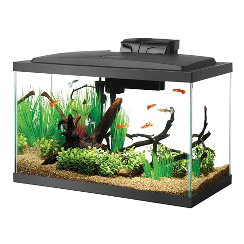 Aqueon Glass Aquarium Fish Tank Starter Kit with LED Lighting, 10 Gallon