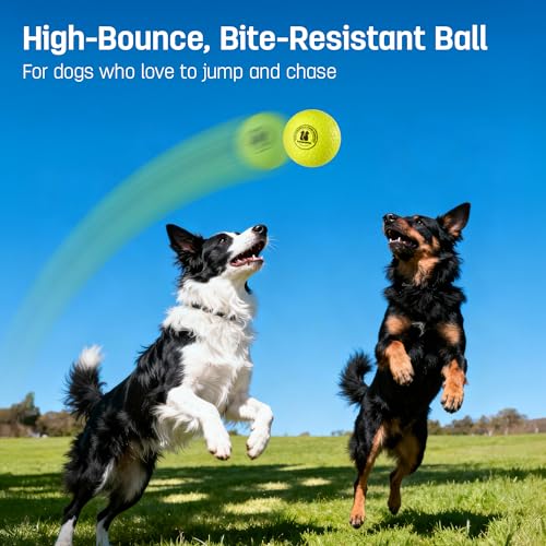 Image of Potaroma Dog Toy Balls 3 Pack, E-TPU Bouncy Pet Fetch Balls for All Breeds