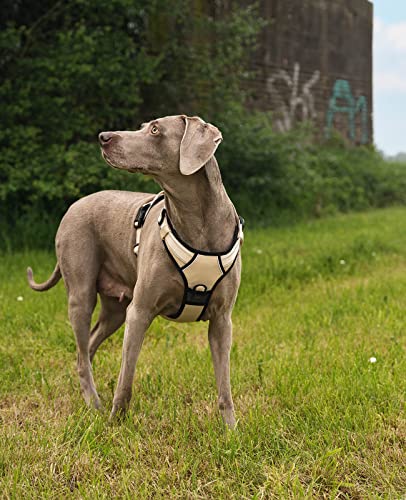 lionto Hundegeschirr gepolstert aus weichem Nylon, Größe L, reflektierendes Anti Zug Geschirr für Hunde mit 2 Ringen & 4 Einstellgurten, Zwei Klickverschlüsse & gummierter Griff am Rücken, beige