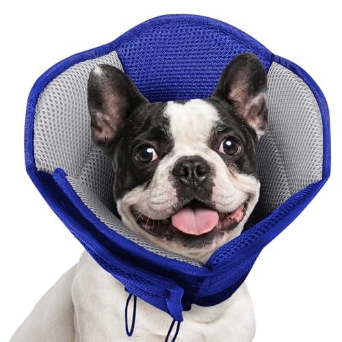 Cône souple pour chiens AOFITEE collier élisabéthain réglable L - 2