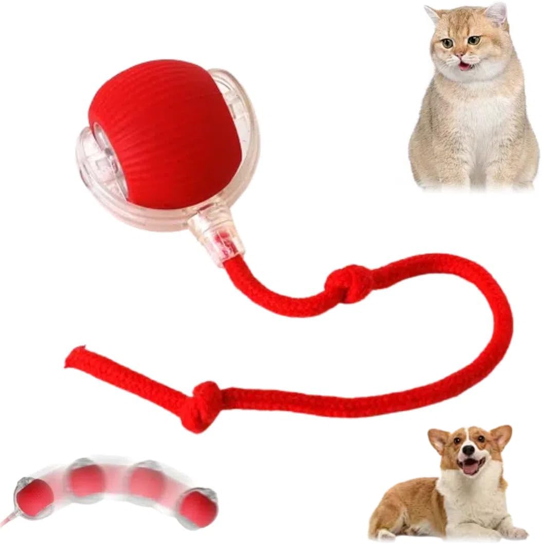 Interactive Cat Ball Toy