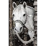 ✅Verschönern Sie ihr Heim mit einem einzigartigen Kunstwerk das Sie in dieser Form und Brillanz mit Sicherheit noch nicht gesehen haben. Durch die Kunststoffsteinchen, die wie kleine Diamanten glitzern können Sie nun ihre Wände mit außergewöhnlichen Bilder verschönen, die je nach Lichteinfluss funkeln und glitzern.