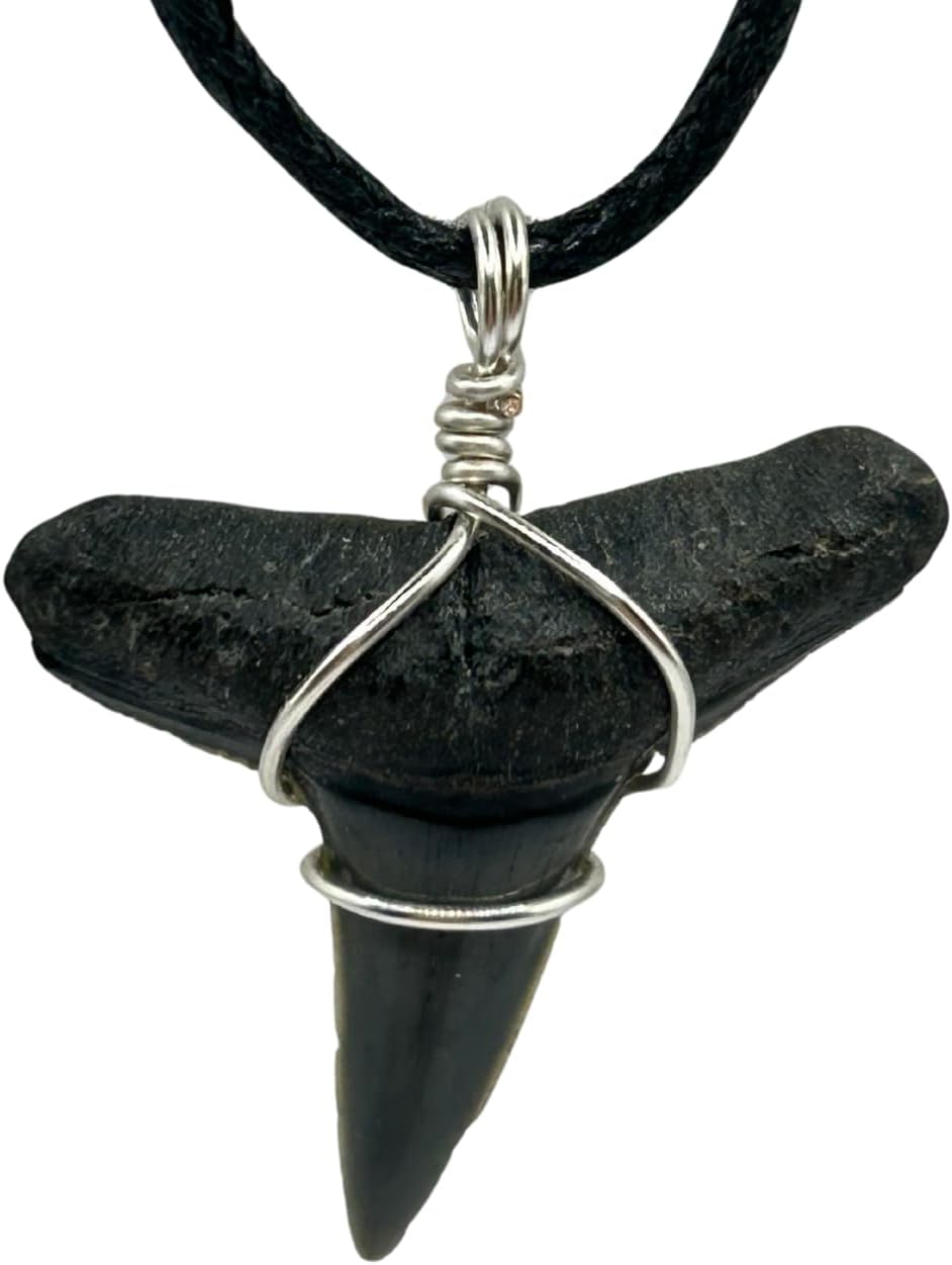 Fossilized Lemon Shark Tooth Necklace for Boys on Adjustable Black Cord