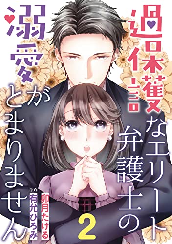 過保護なエリート弁護士の溺愛がとまりません【分冊版】2話 (マーマレードコミックス)