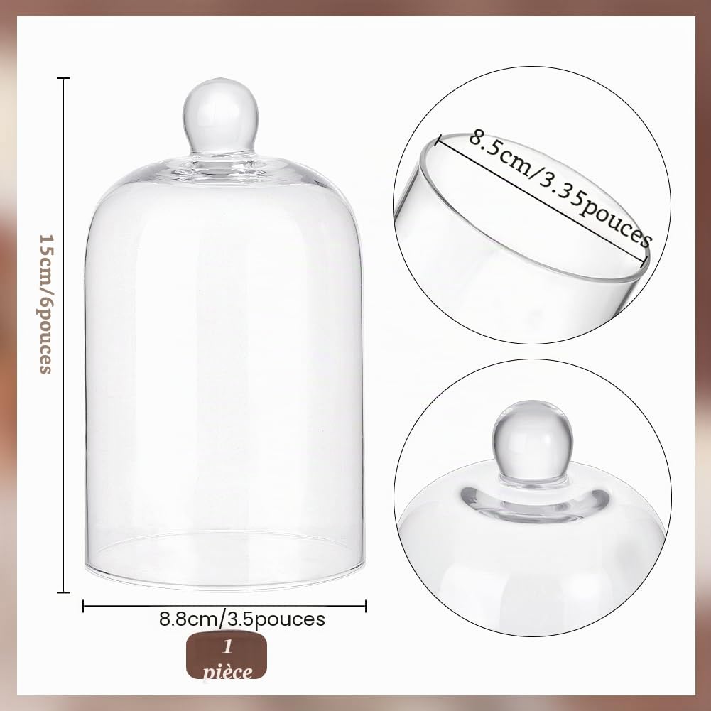 PH PandaHall 17 x 10cm Cloche en Verre Dôme Objets de Collection Cloche Décorative avec Poignée en Boule pour Plantes Guirlandes Lumineuses Décoration de Table Médaille Photo, Sans Base