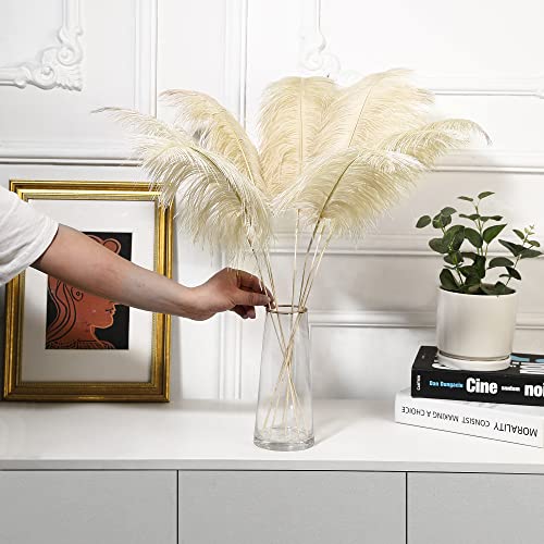 Ballinger Champagne Ostrich Feathers Bulk - Making Kit 10Pcs 28 Inch Large Boho Feathers For Vase, Floral Arrangement, Wedding Party Centerpieces And Home Decor #TOP5