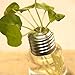 Ivolador Lightbulb Propagation Station Glass Flower Plants Vase Terrarium Container Perfect for Propagating Hydroponic Plants Home Office Garden Wedding Decoration
