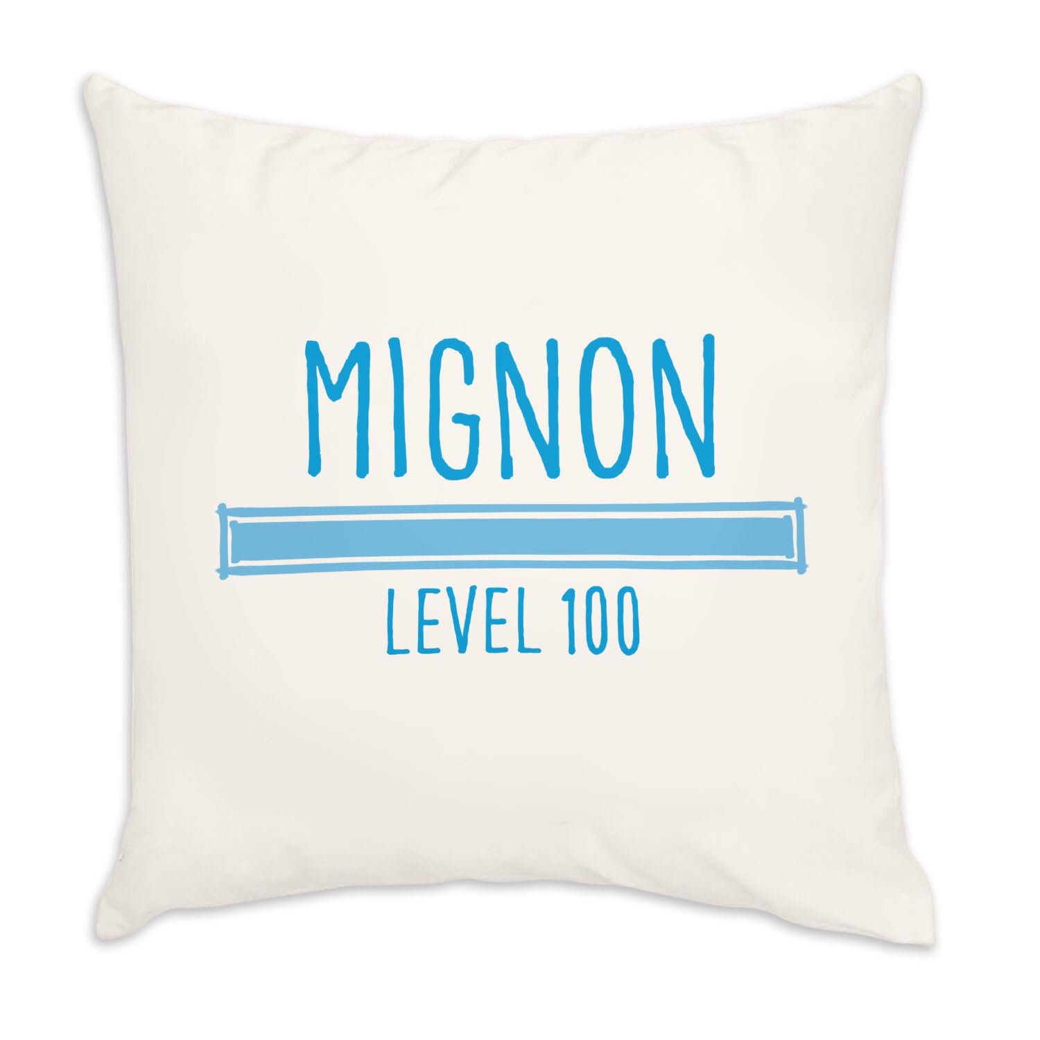 Coussin en velours blanc Mignon Level 100 Bébé Irresistible de dimensions 40x40 cm avec housse incluse