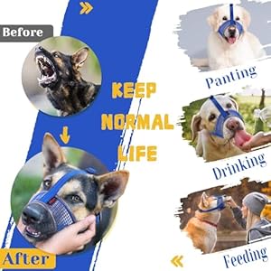 Dog Muzzle, Air Mesh Breathable Muzzle for Medium Large Sized Dogs to Anti & Prevent Biting Barking, Soft Grooming Muzzle for German Shepherd Dog with Reflective & Adjustable Strap(Blue-L
