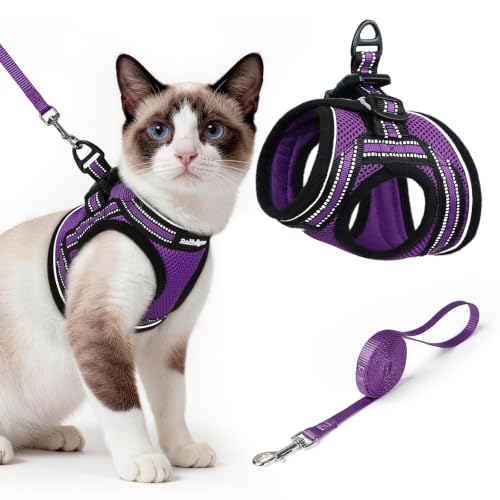 Image of rabbitgoo Cat Harness and Leash Set, Step-in Soft Vest, Purple | Escape Proof, Lightweight, Easy-on & Adjustable, Hook & Loop with Buckle, Reflective, for Small Cats Walks, L