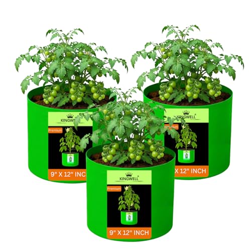 Image of Kingwell grow bags 9x12 inches pack of 3 For Terrace Garden Vegetable Plant Grow Bags Fruits Growing Containers For terrece Gardening