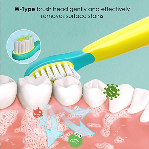 AGARO REX Brush Head Refill Set of 2 Pcs (Blue and Yellow) - Image 3