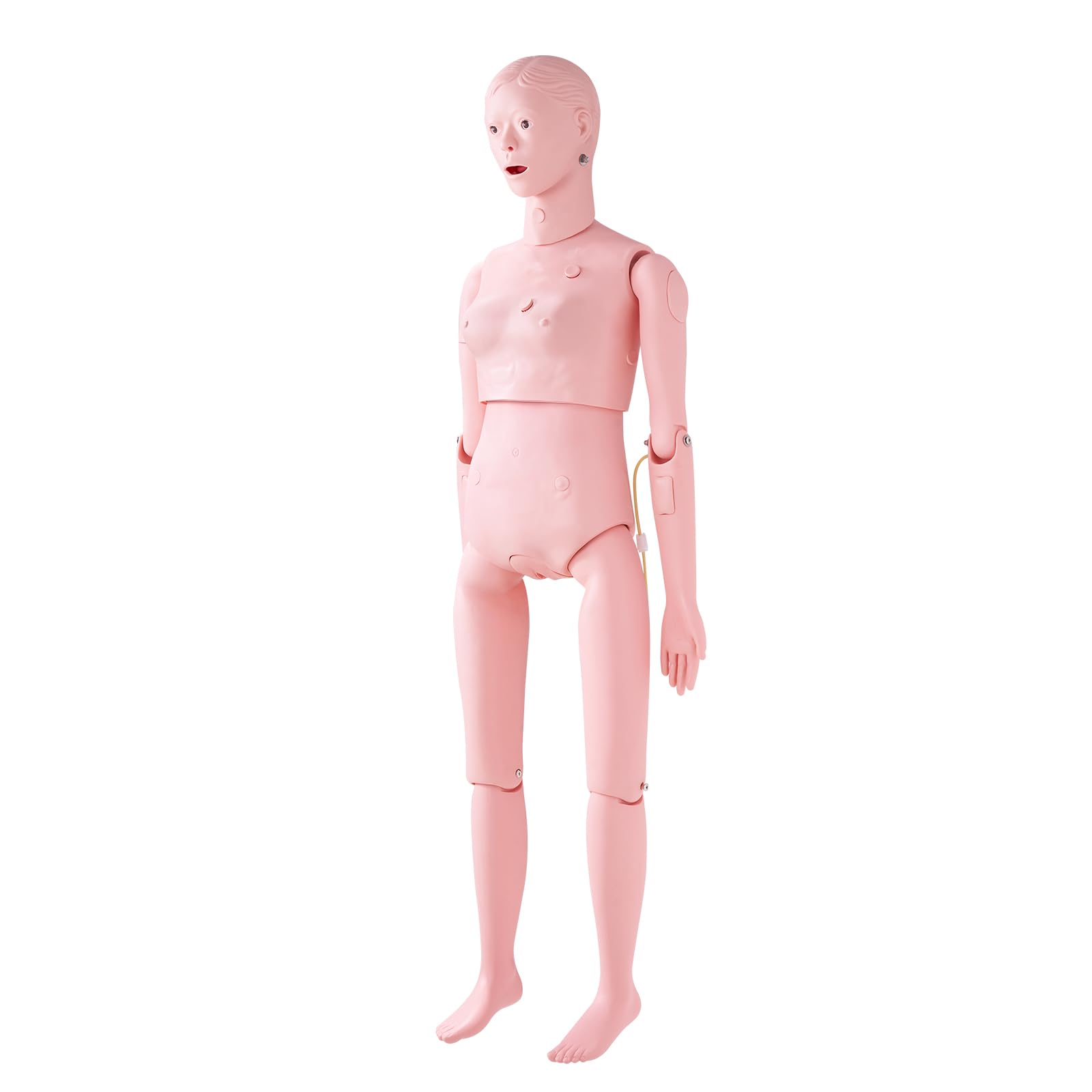VEVOR Maniquí de Enfermería Femenino Maniquí de Cuidado del Paciente Alto de 153 cm PVC Maniquí de Entrenamiento de Enfermera Simulación Realista para Enseñanza Formación Médica de Hospital Instituto