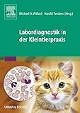 Elsevier
