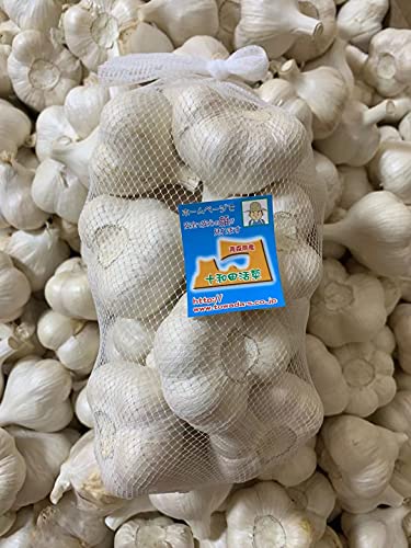 青森県産にんにく Lサイズ1kg15玉前後 訳あり B品 ホワイト六片種にんにく 国産