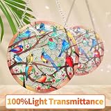 Stained Glass Window Hanging Suncatcher – Hand-Drawn Cardinal & Hummingbird Panel, Round Glass Ornament, Birds on a Branch Nature Decor, Colorful Gift for Bird Lovers, Family, and Friends (6 inch)