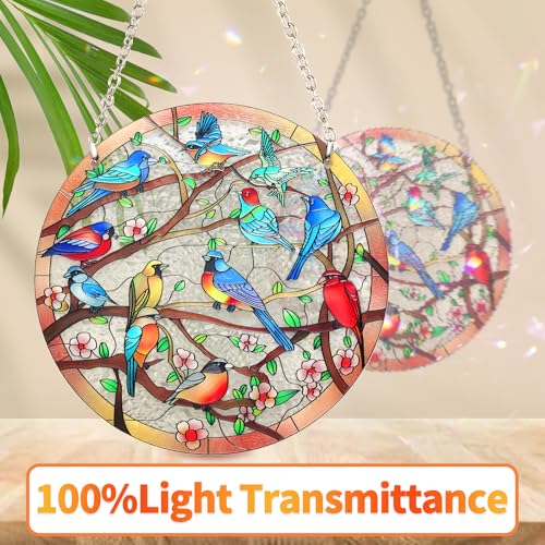 Stained Glass Window Hanging Suncatcher – Hand-Drawn Cardinal & Hummingbird Panel, Round Glass Ornament, Birds on a Branch Nature Decor, Colorful Gift for Bird Lovers, Family, and Friends (6 inch)