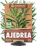 ZenGreens® - Semillas de ajedrea de verano ecológicas - Semillas de hierbas para cultivar fácilmente en el jardín, balcón o cocina - ideal para principiantes