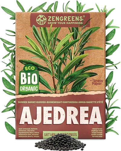 ZenGreens® - Semillas de ajedrea de verano ecológicas - Semillas de hierbas para cultivar fácilmente en el jardín, balcón o cocina - ideal para principiantes