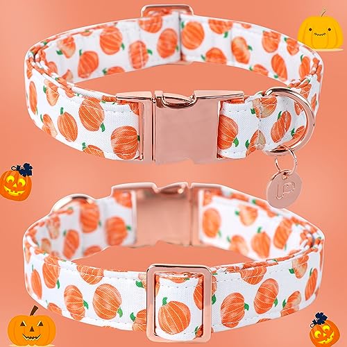 Image of Halloween Dog Collar with Metal Buckle Gift Fall Dog Collar for Small Medium Large Girls or Boys Dogs Cute Pumpkin Cotton Pet Collars