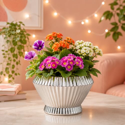 Image of Xtore Elegant Fluted Ceramic Planter with Drain Tray | Glossy White Flower Pot for Indoor Plants, Succulents & Tabletop Decor (14.5 cm x 12.5 cm)