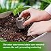 Doter 100pcs Seed Starter Pod Peat Pellets for Seedlings, Garden Plant Seed Starter Kit for Vegetable, Flower, Bonsai Tree