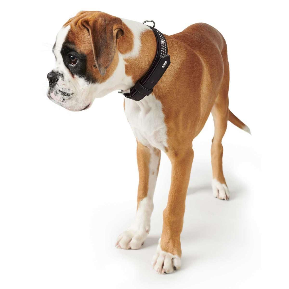 HUNTER SOFTIE TRILUXE Hundehalsband, Kunstleder, glitzernde Strasssteine, 50 (S-M), schwarz