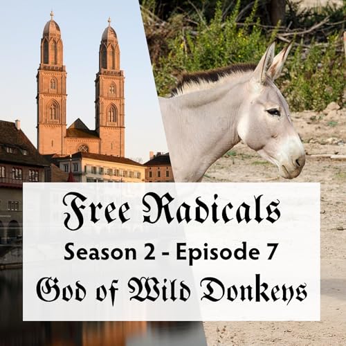 S2E7 - God of Wild Donkeys