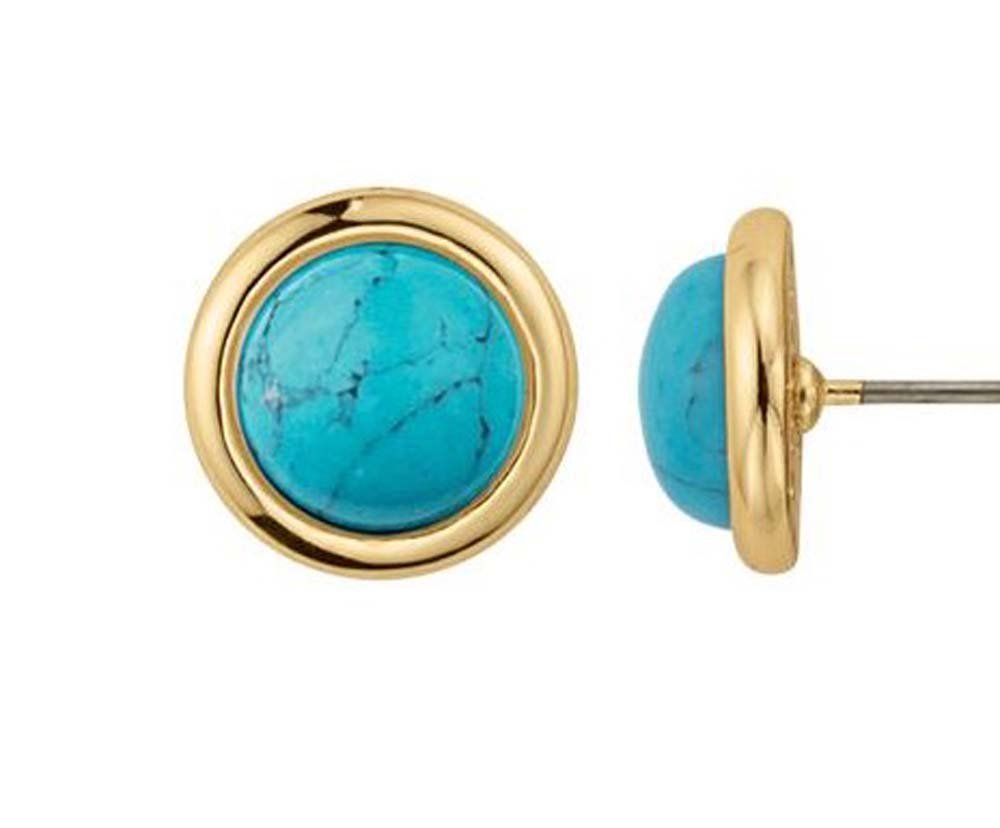 findout14K chapado en oro rosa de frijol de color turquesa de acero de titanio mujeres earrings.for niñas. (1732)