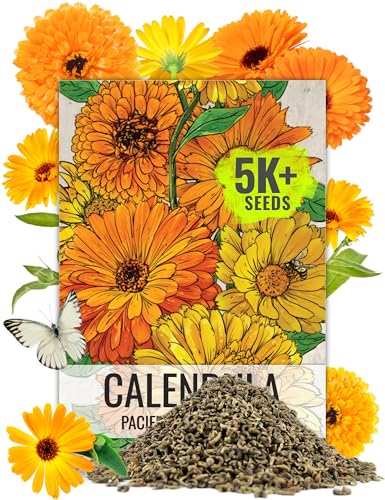 Seed Needs Calendula Seeds Pacific Beauty Mix 5 000 Seeds Bulk Pack